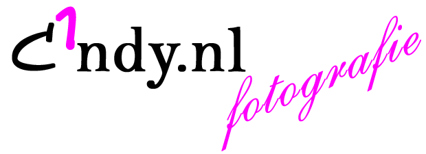 c1ndy.nl photography